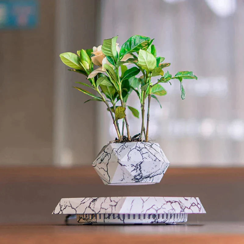 3D Levitating Plant Pot