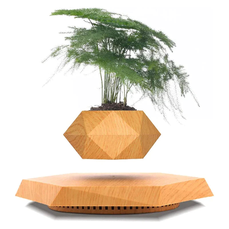 3D Levitating Plant Pot